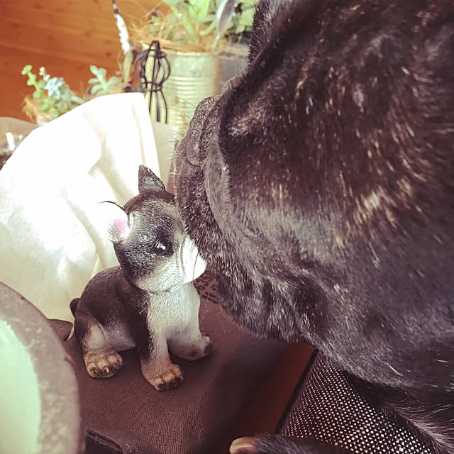 Ka_Kaさんの実例写真