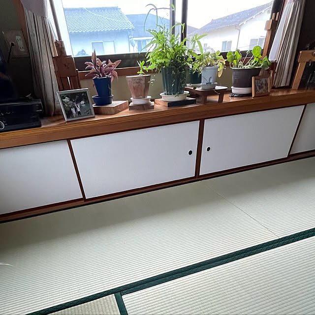 buchiさんの部屋