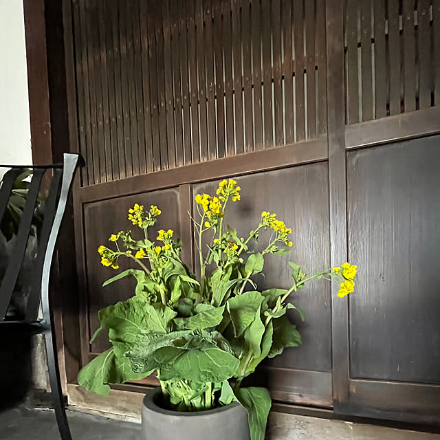 cota2さんの部屋