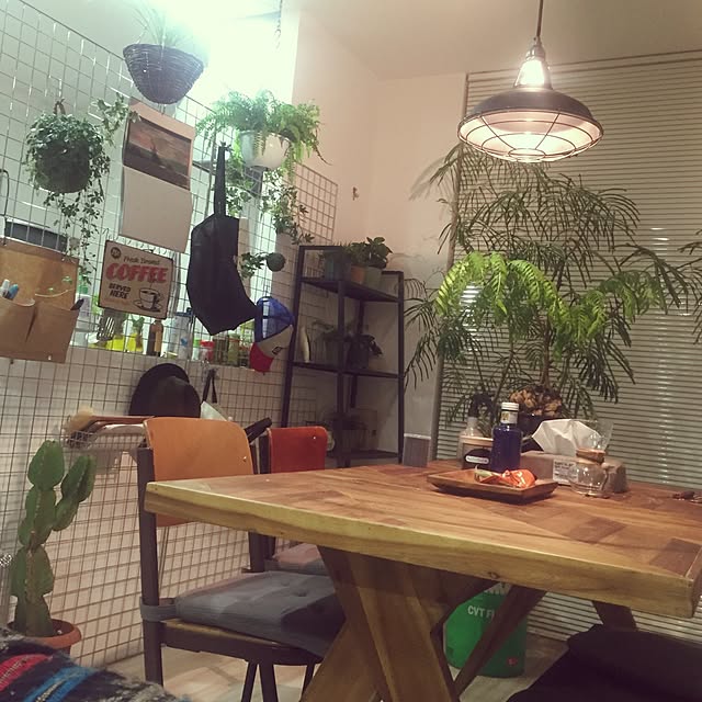DailyRoomclip