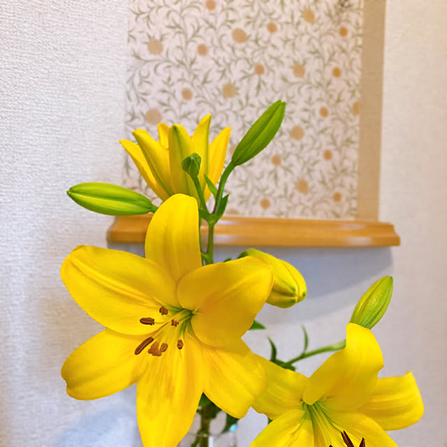 sunabaさんの実例写真