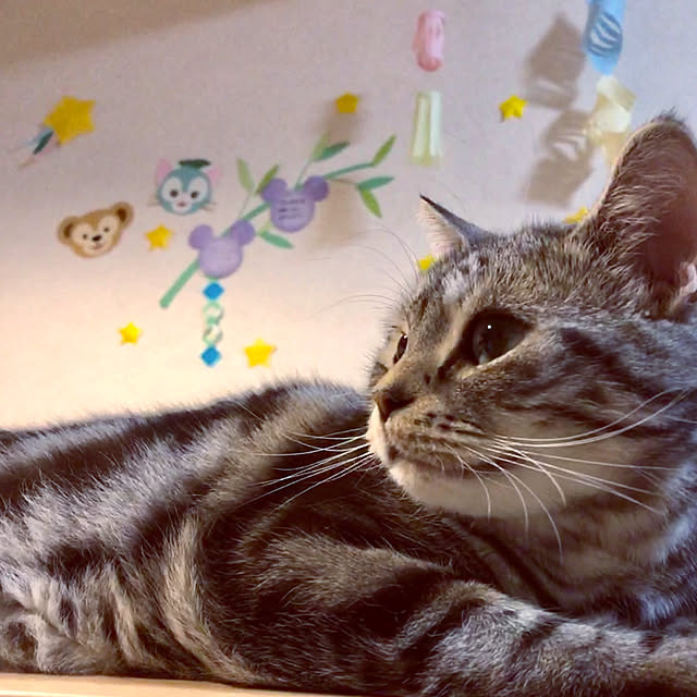 sato04mi06さんの実例写真