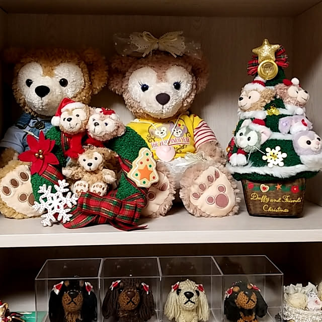 Luckyさんの実例写真