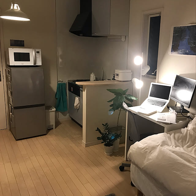 観葉植物/IKEA/一人暮らし/北欧/100均...などのインテリア実例 - 2021-05-02 09:22:57