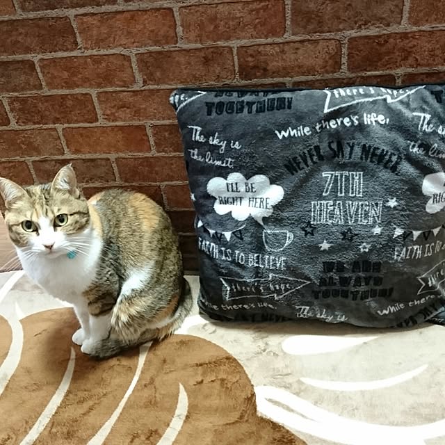 berariさんの実例写真