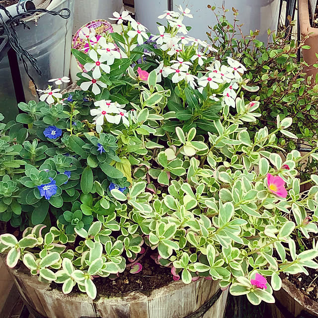 tomoさんの部屋