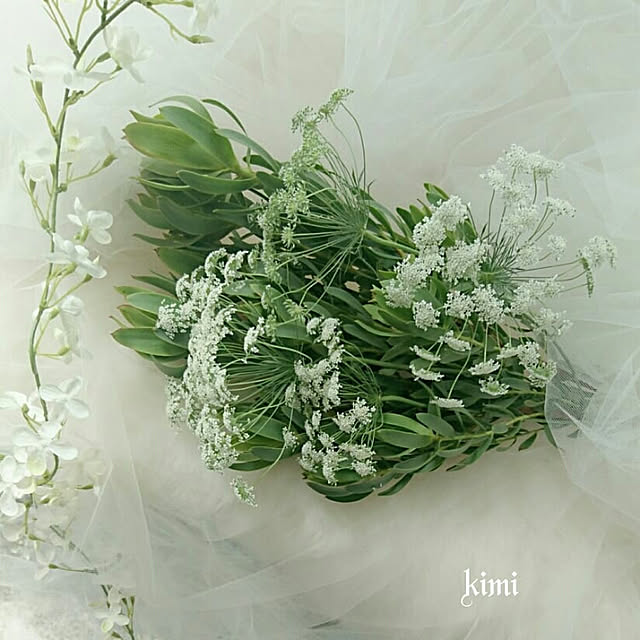 kimiさんの実例写真