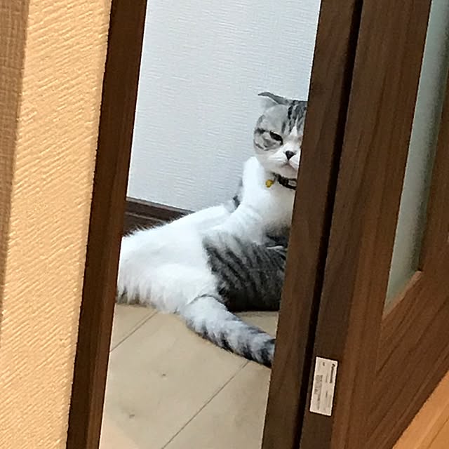Dahliaさんの実例写真