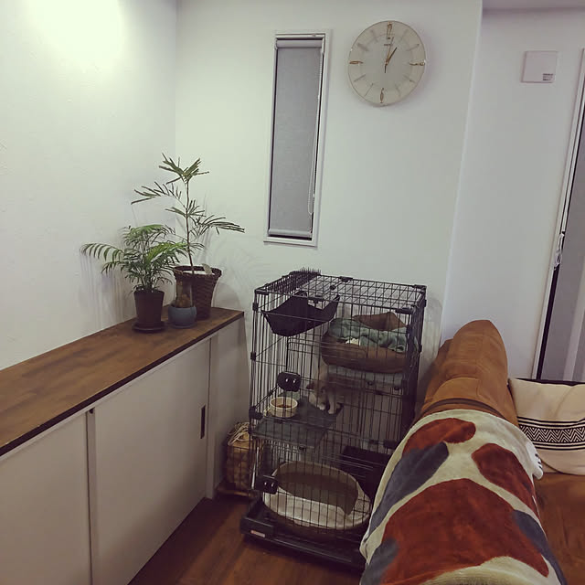 yukaさんの実例写真