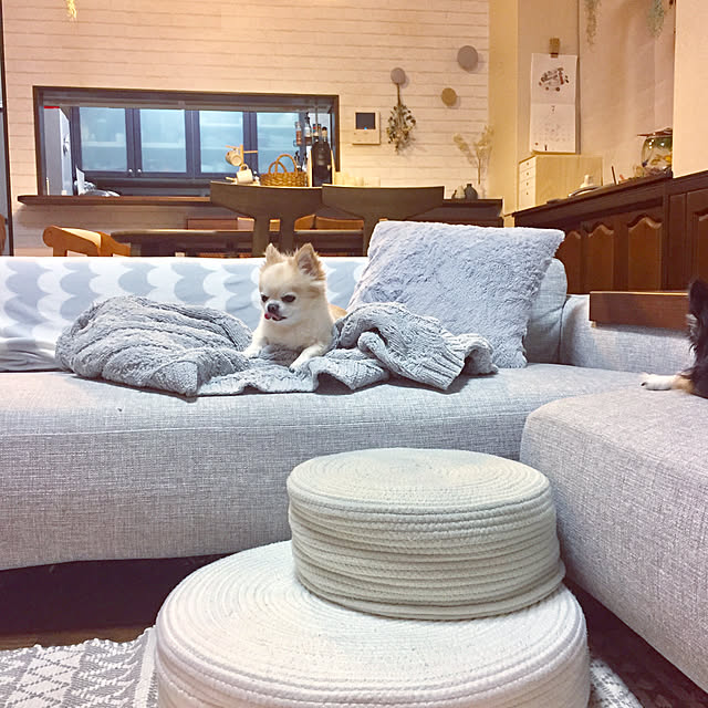 ponさんの実例写真