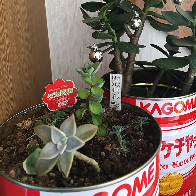 Ayaさんの実例写真