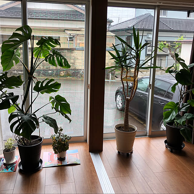 sayutanさんの実例写真
