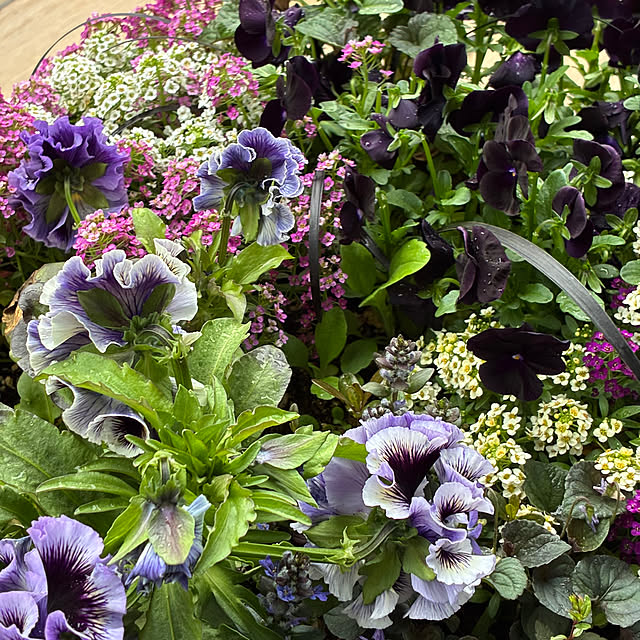 romiromiさんの部屋