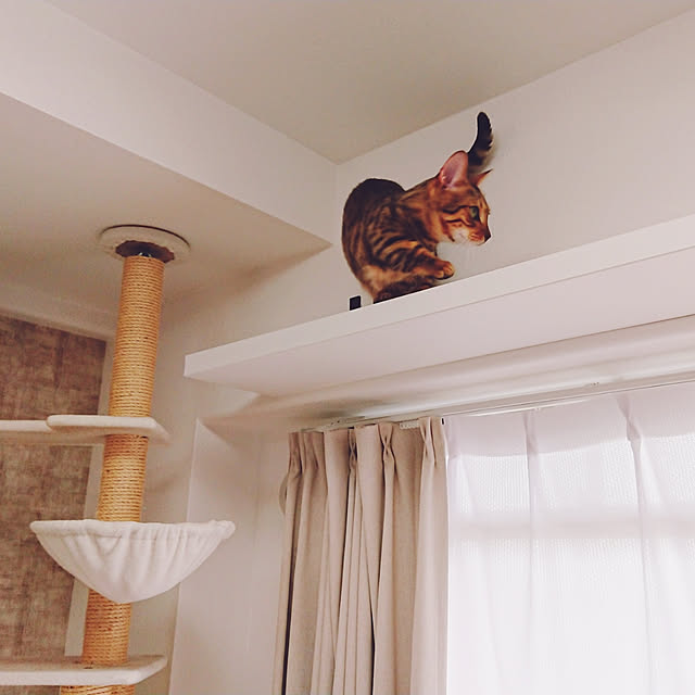 rikiponpanさんの実例写真