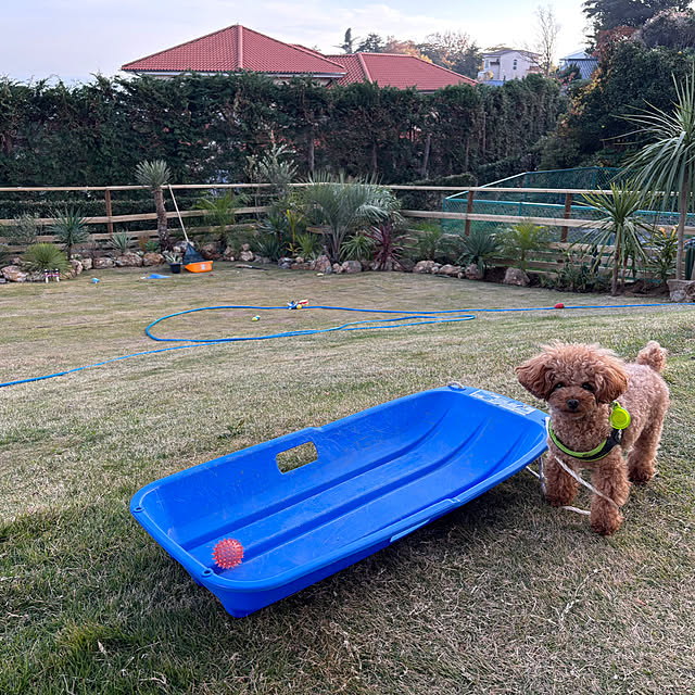 bonjiri0824さんの実例写真