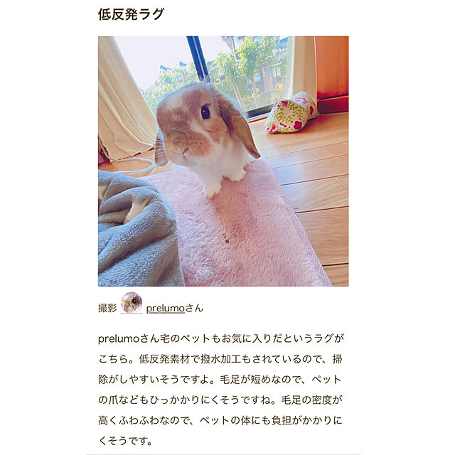 prelumoさんの実例写真