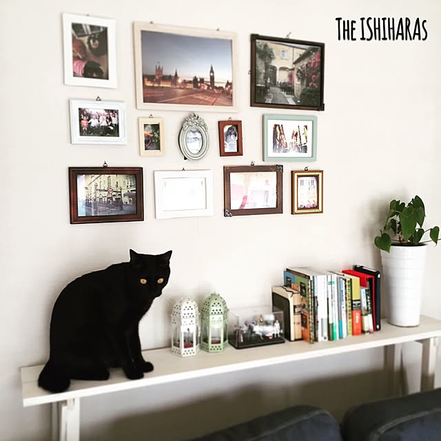 theishiharasさんの実例写真