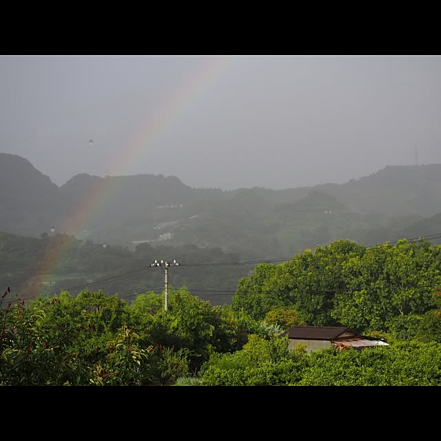 pocoさんの実例写真