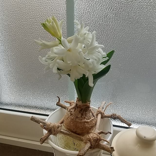 Rさんの部屋