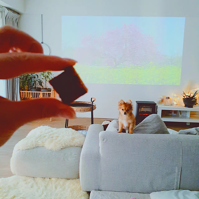 noahさんの実例写真