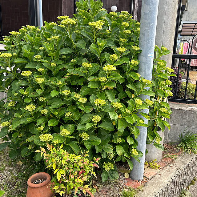 ritsukoさんの部屋