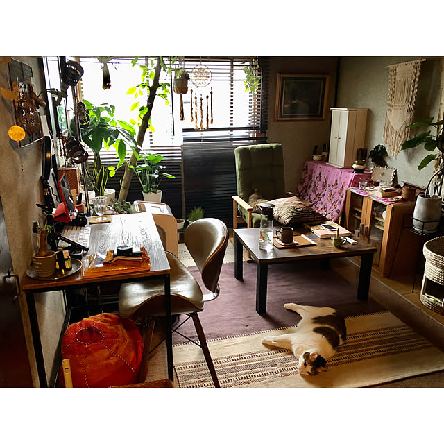 asamiiii1120さんの実例写真