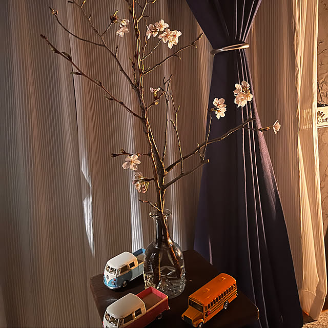 raiannさんの部屋