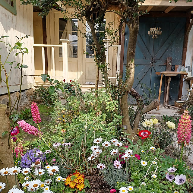 scrapheaven55さんの実例写真