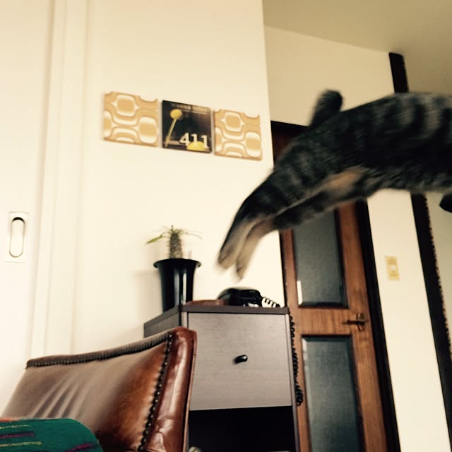 maruさんの実例写真