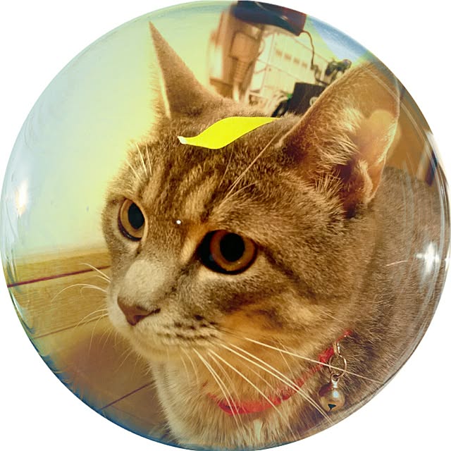 oyumiさんの実例写真