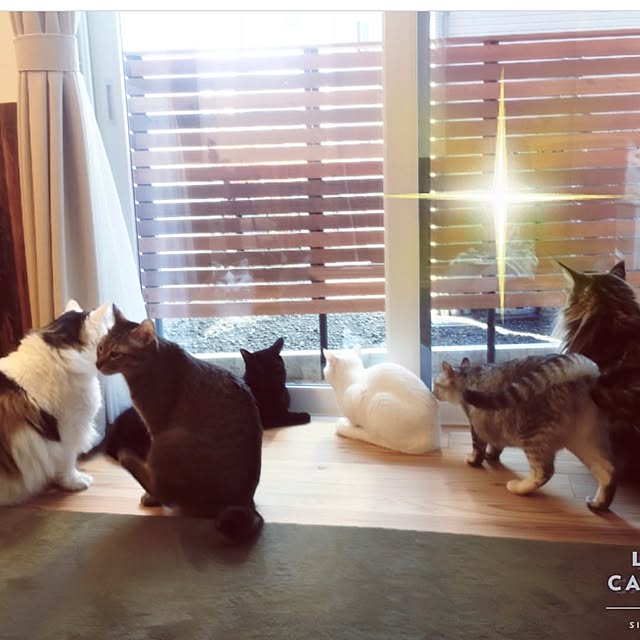 paipan720さんの実例写真