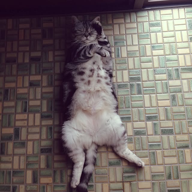 fuku48さんの実例写真