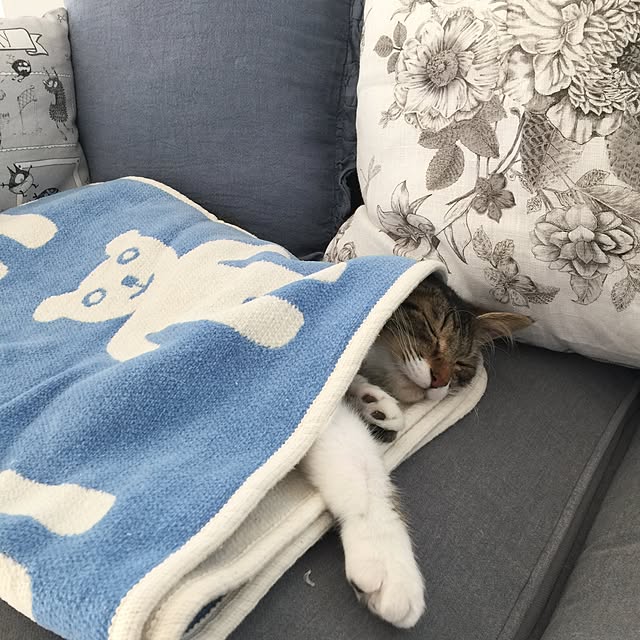 yuchiさんの実例写真