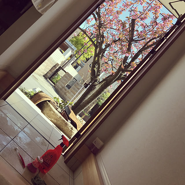 rizumu4649さんの実例写真