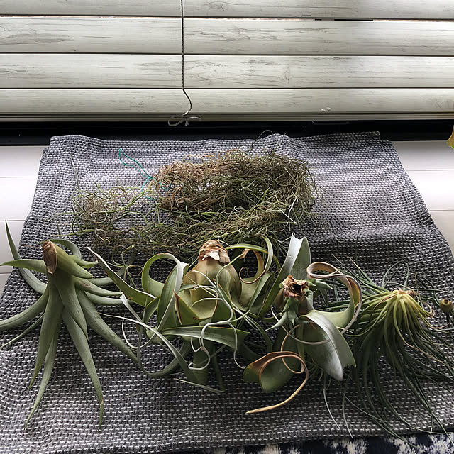 ex.Tさんの実例写真