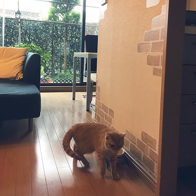 実例写真