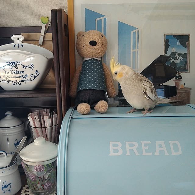 hiroさんの実例写真