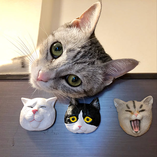 Honamiさんの実例写真