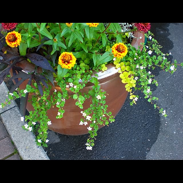 akihomeさんの実例写真