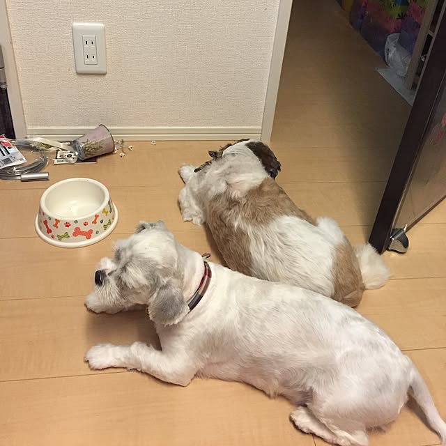 emiさんの実例写真