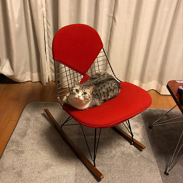 Shojiさんの実例写真