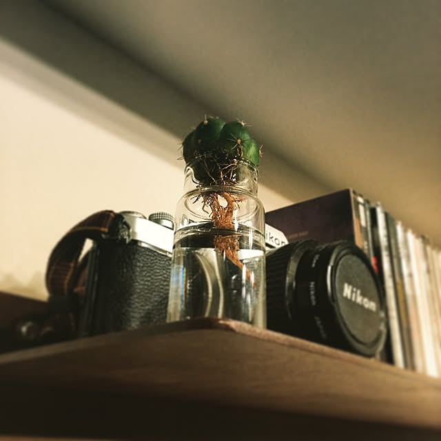 do_thee_boogieさんの実例写真