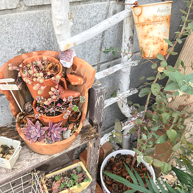 satominさんの実例写真
