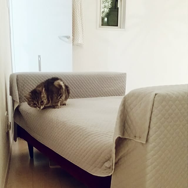 runayucoさんの実例写真
