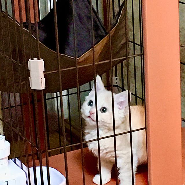 naokoさんの実例写真