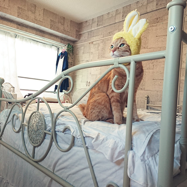 asuminさんの実例写真
