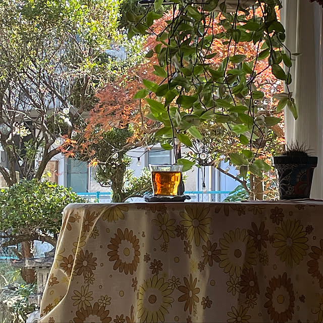 shin0719さんの実例写真