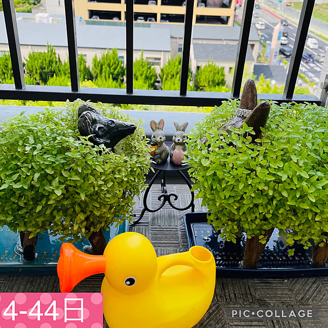 aureaさんの実例写真