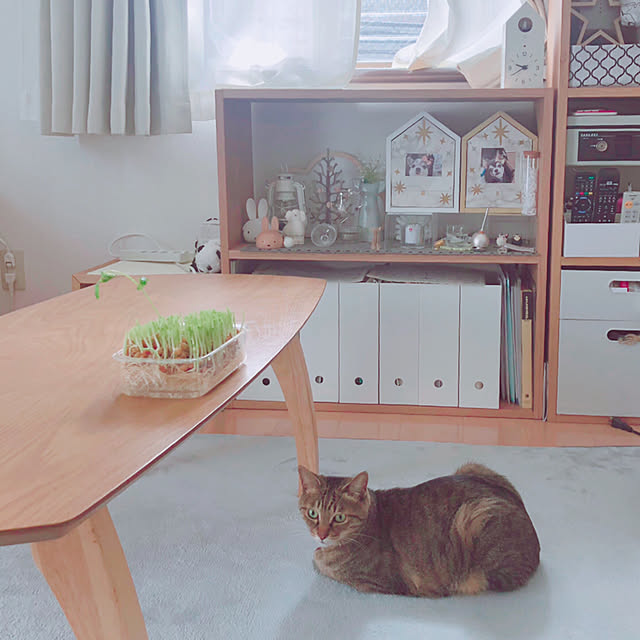 Emiさんの実例写真