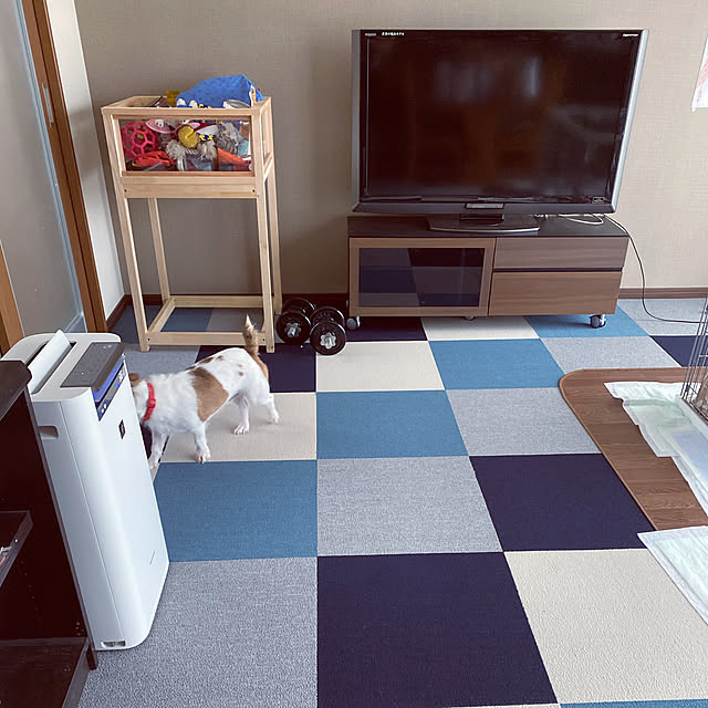 naoさんの実例写真